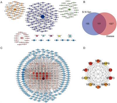 Network pharmacology- and molecular docking-based investigation on the mechanism of action of Si-ni San in the treatment of depression combined with anxiety and experimental verification in adolescent rats